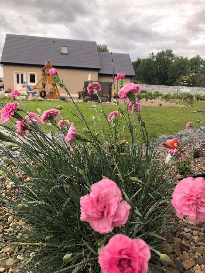 Tir Na Spideoga Villa Енис Екстериор снимка